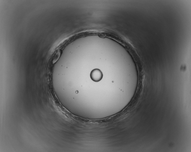 X0000115631448200911241636