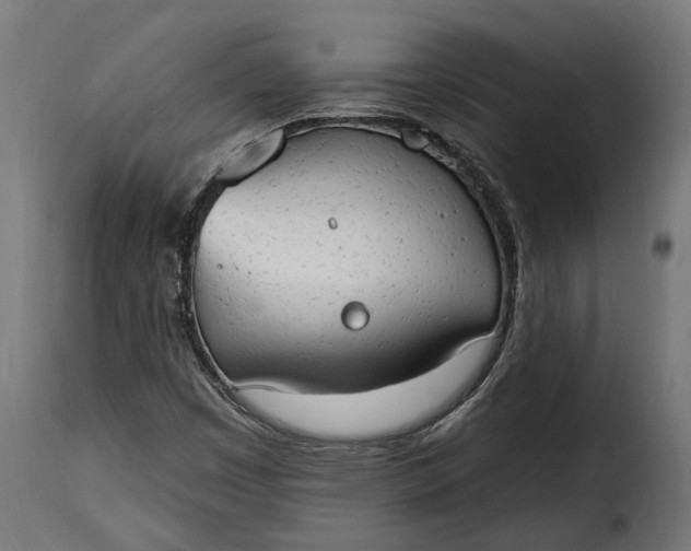 X0000115631449200911241636