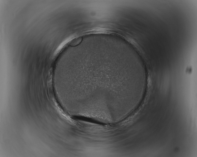 X0000115631450200911241636