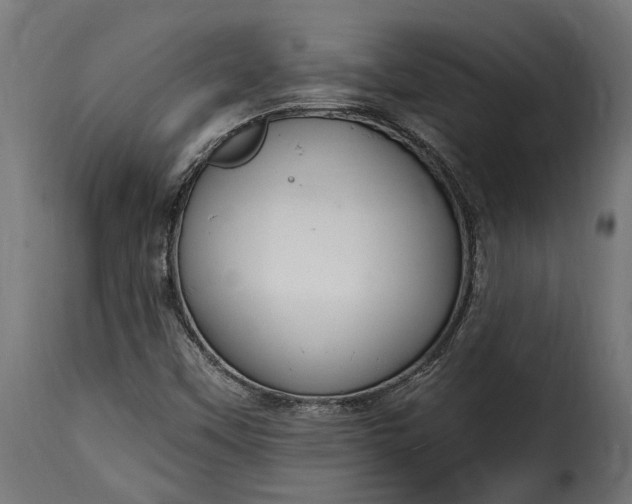 X0000115631451200911241636