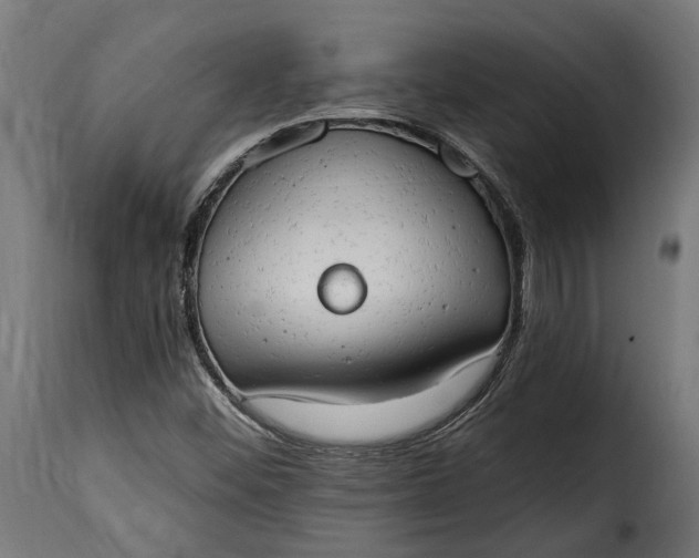 X0000115631452200911241636