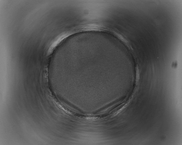 X0000115631453200911241636