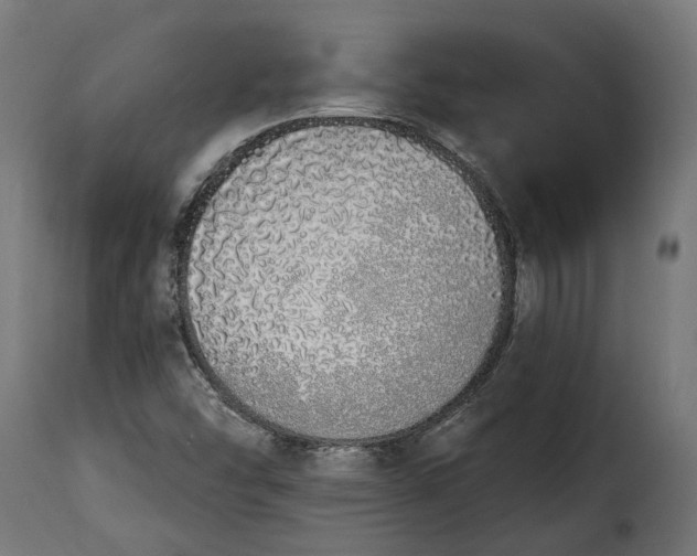 X0000115631454200911241636