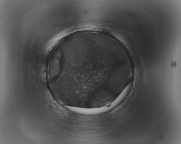 X0000115631455200911241636