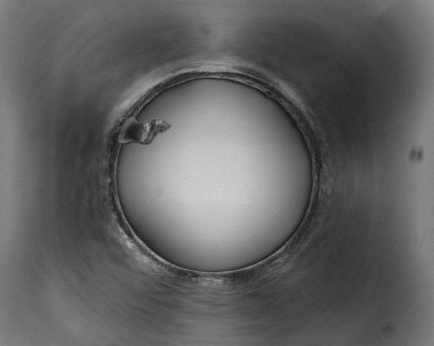 X0000115631456200911241636