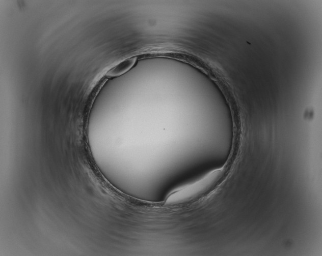 X0000115631457200911241636