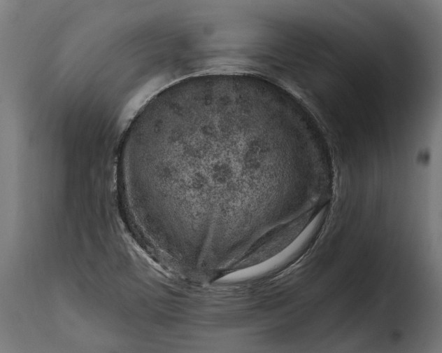 X0000115631459200911241636