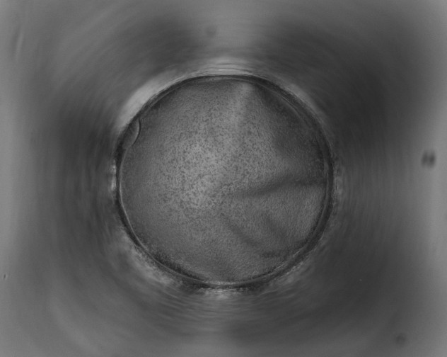 X0000115631461200911241636