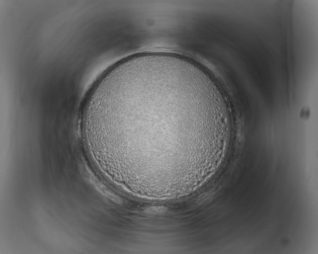 X0000115631462200911241636