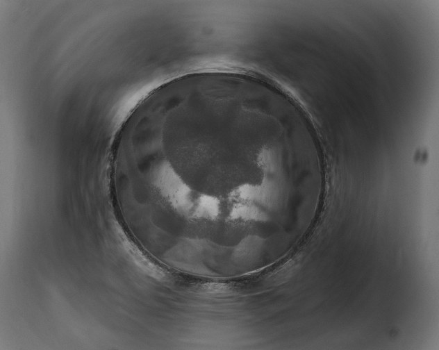 X0000115631463200911241636