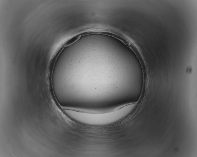 X0000115631464200911241636