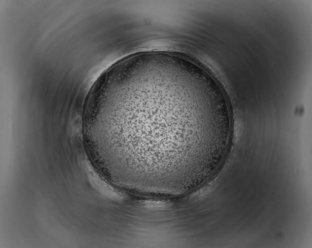 X0000115631465200911241636