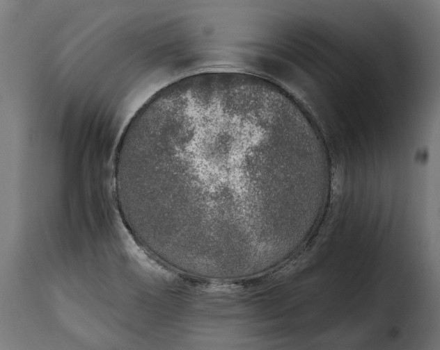 X0000115631466200911241636