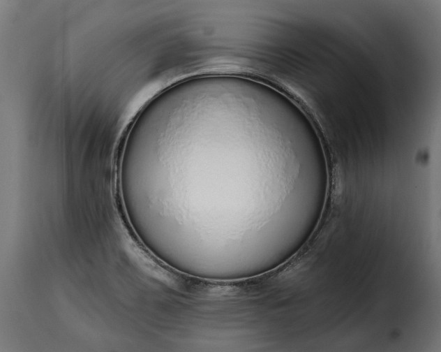 X0000115631467200911241636