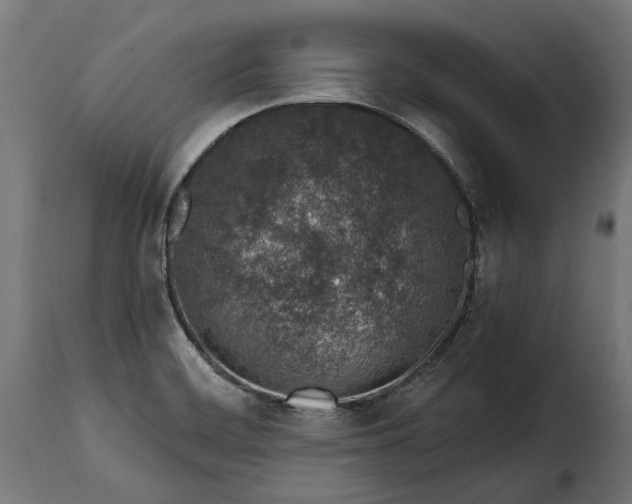 X0000115631468200911241636