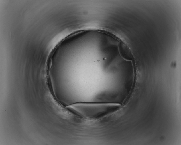 X0000115631469200911241636