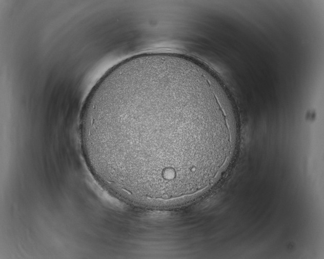 X0000115631470200911241636