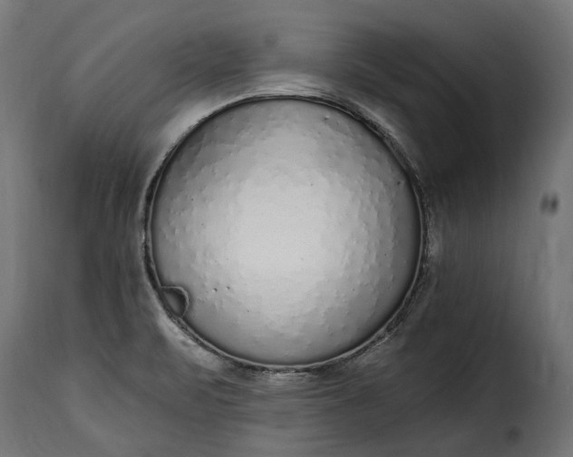 X0000115631471200911241636