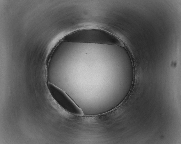 X0000115631472200911241636