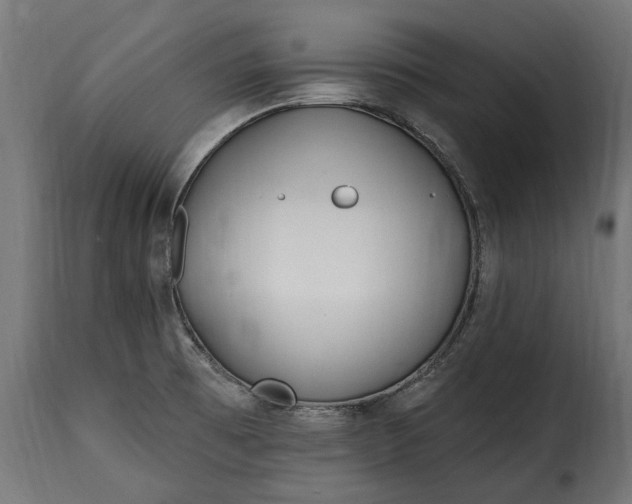 X0000115631473200911241636