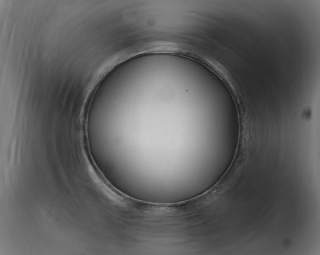 X0000115631475200911241636