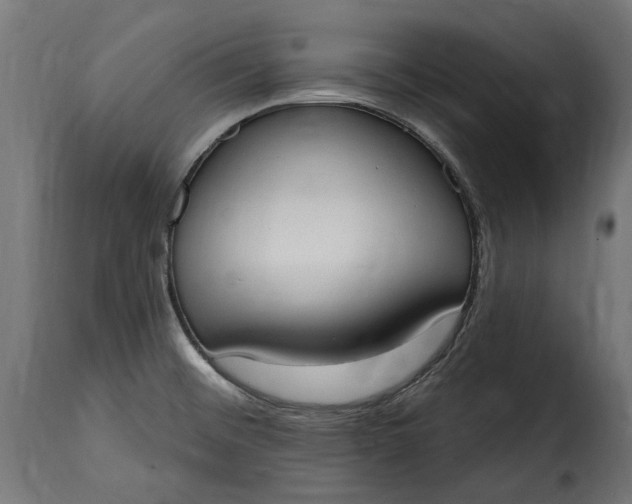 X0000115631476200911241636