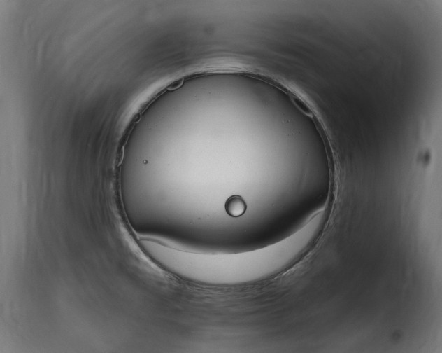 X0000115631477200911241636