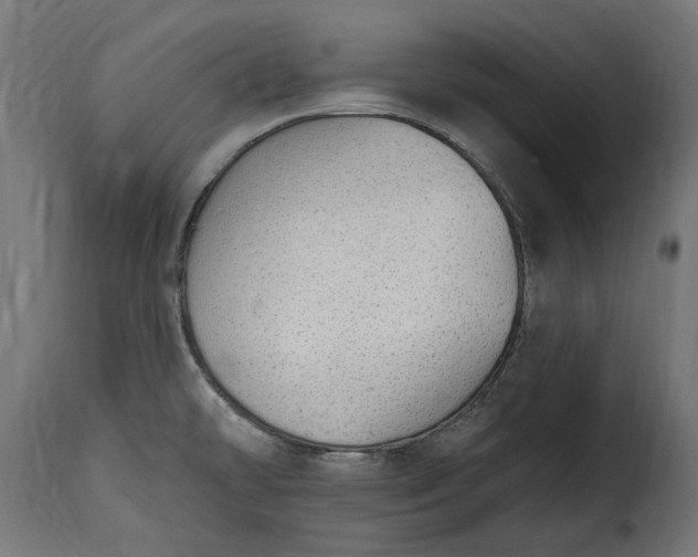 X0000115631478200911241636