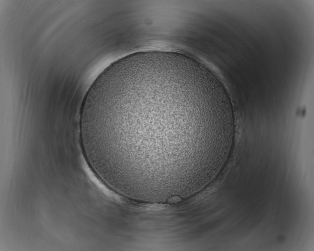 X0000115631479200911241635