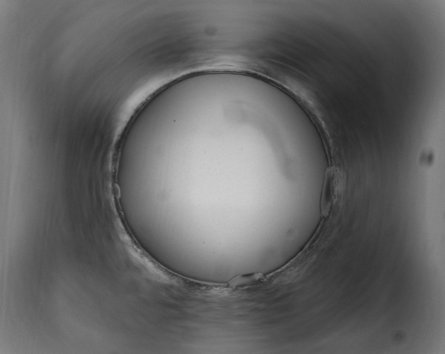 X0000115631480200911241635