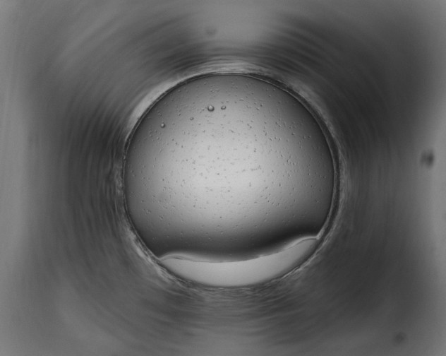 X0000115631481200911241635