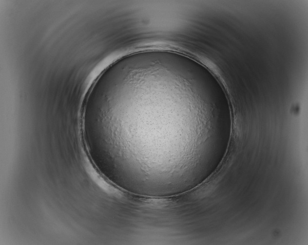 X0000115631482200911241635