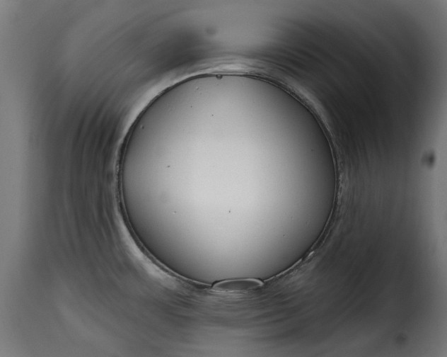 X0000115631483200911241635