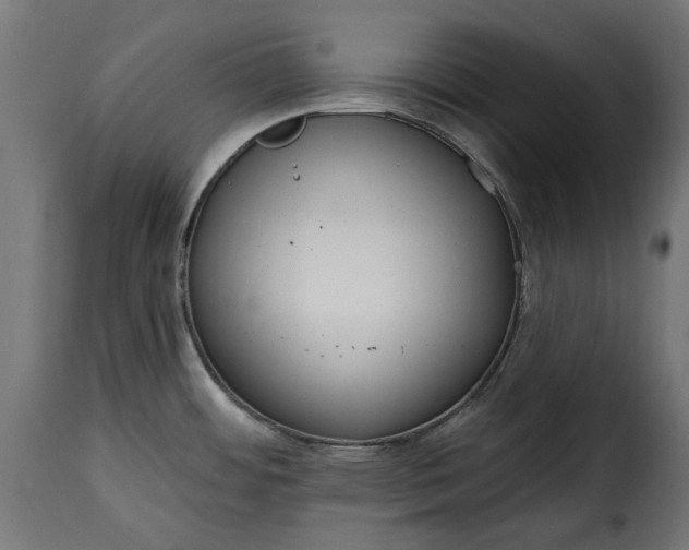 X0000115631484200911241635