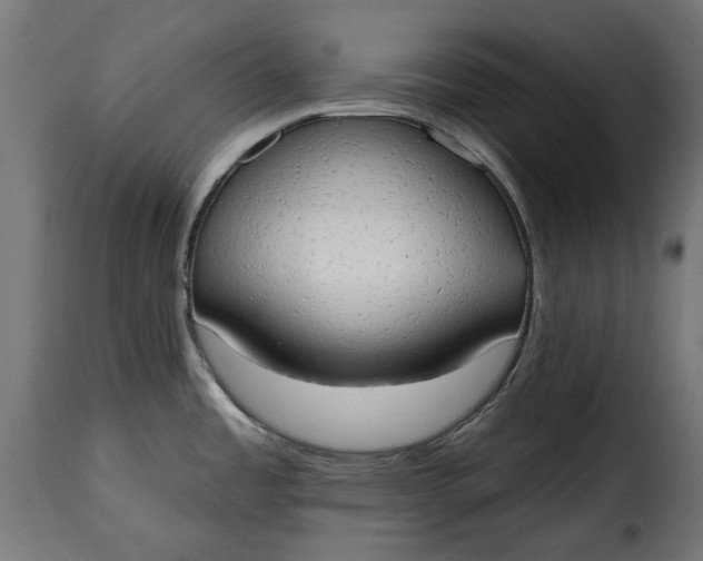 X0000115631485200911241635