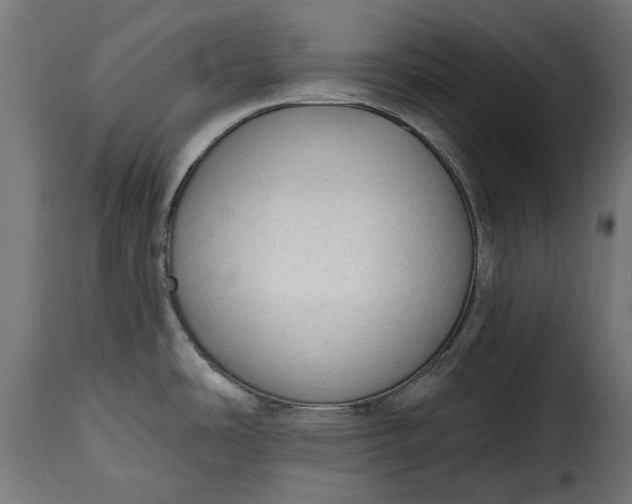 X0000115631486200911241635