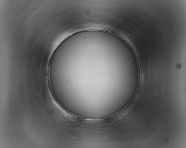 X0000115631487200911241635