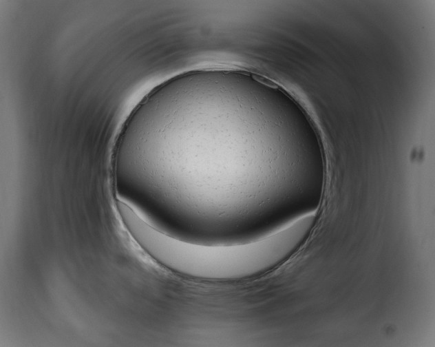 X0000115631488200911241635