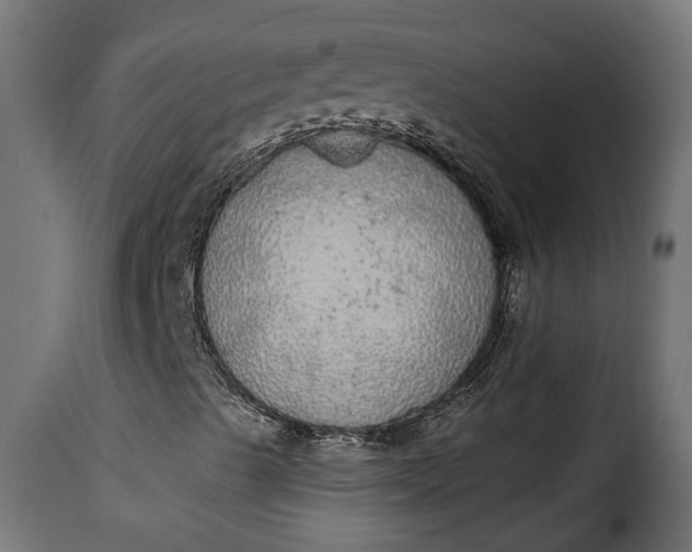 X0000115631489200911241635