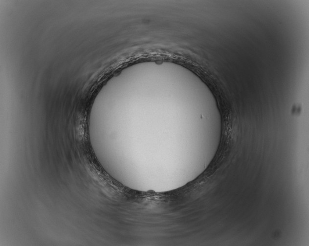 X0000115631490200911241635