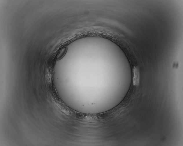 X0000115631491200911241635