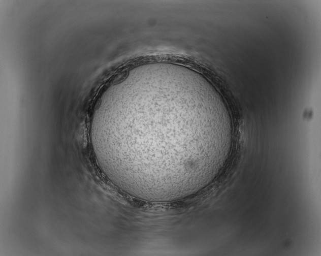 X0000115631493200911241635