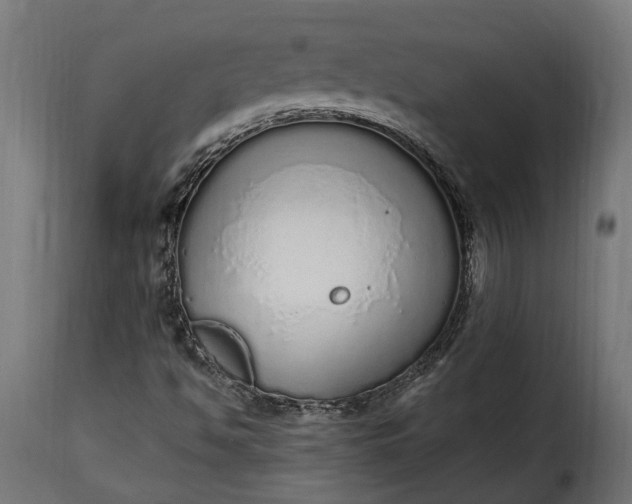 X0000115631494200911241635