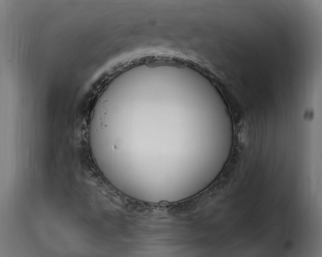 X0000115631495200911241635