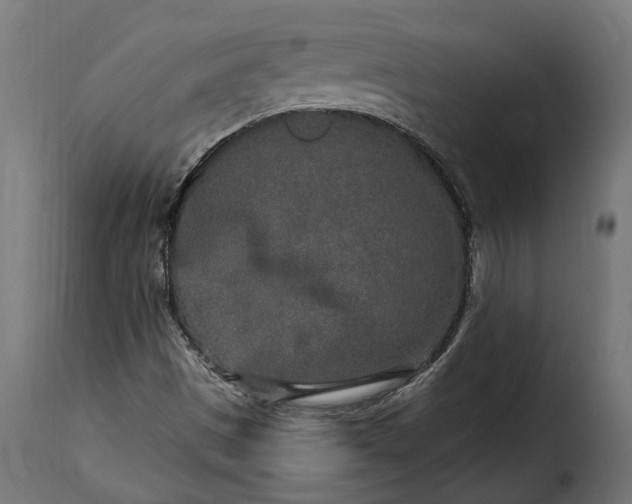 X0000115631497200911241635