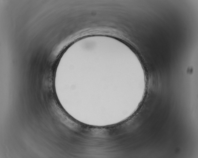 X0000115631498200911241635