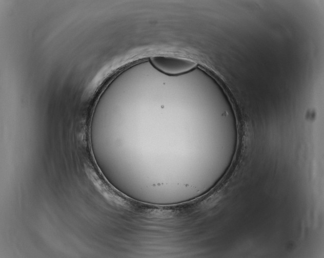 X0000115631499200911241635