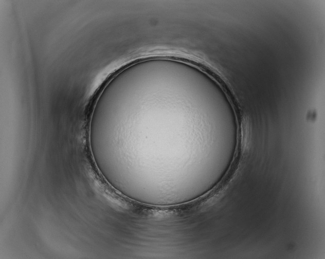 X0000115631501200911241635