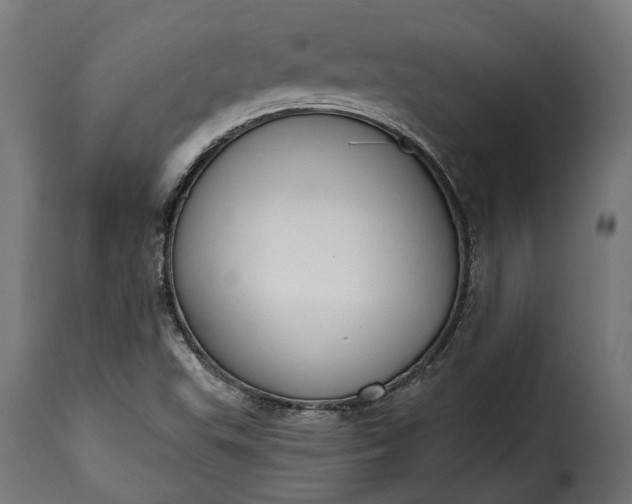 X0000115631503200911241635