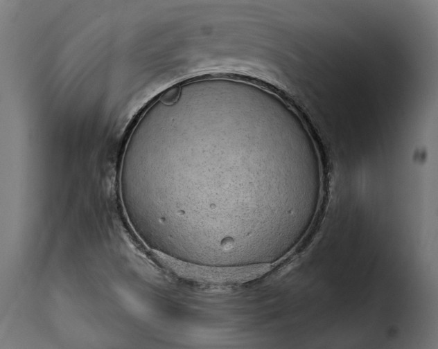 X0000115631505200911241635